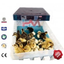 HM-130 PRO FULL OTOMATİK KULUÇKA MAKİNESİ NEM NOZÜLLÜ HİGROSTATLI KULUÇKA MAKİNASI) HMK-PRO003