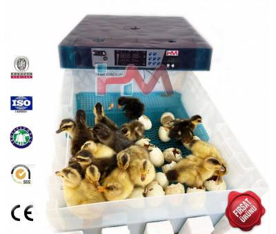 HM-130 PRO FULL OTOMATİK KULUÇKA MAKİNESİ NEM NOZÜLLÜ HİGROSTATLI KULUÇKA MAKİNASI) HMK-PRO003